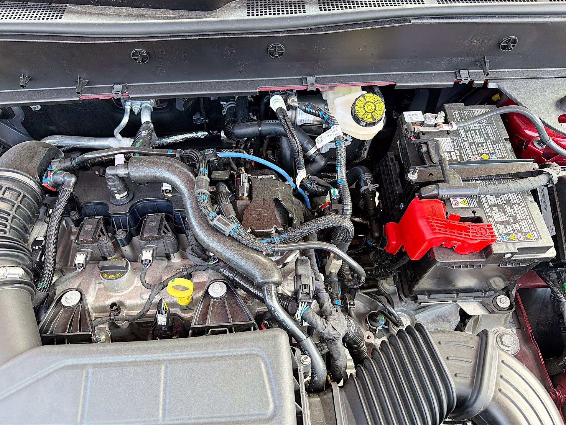 2025 Ruby Red Metallic Tinted Clearcoat Ford Bronco Sport Big Bend 4X4 SUV