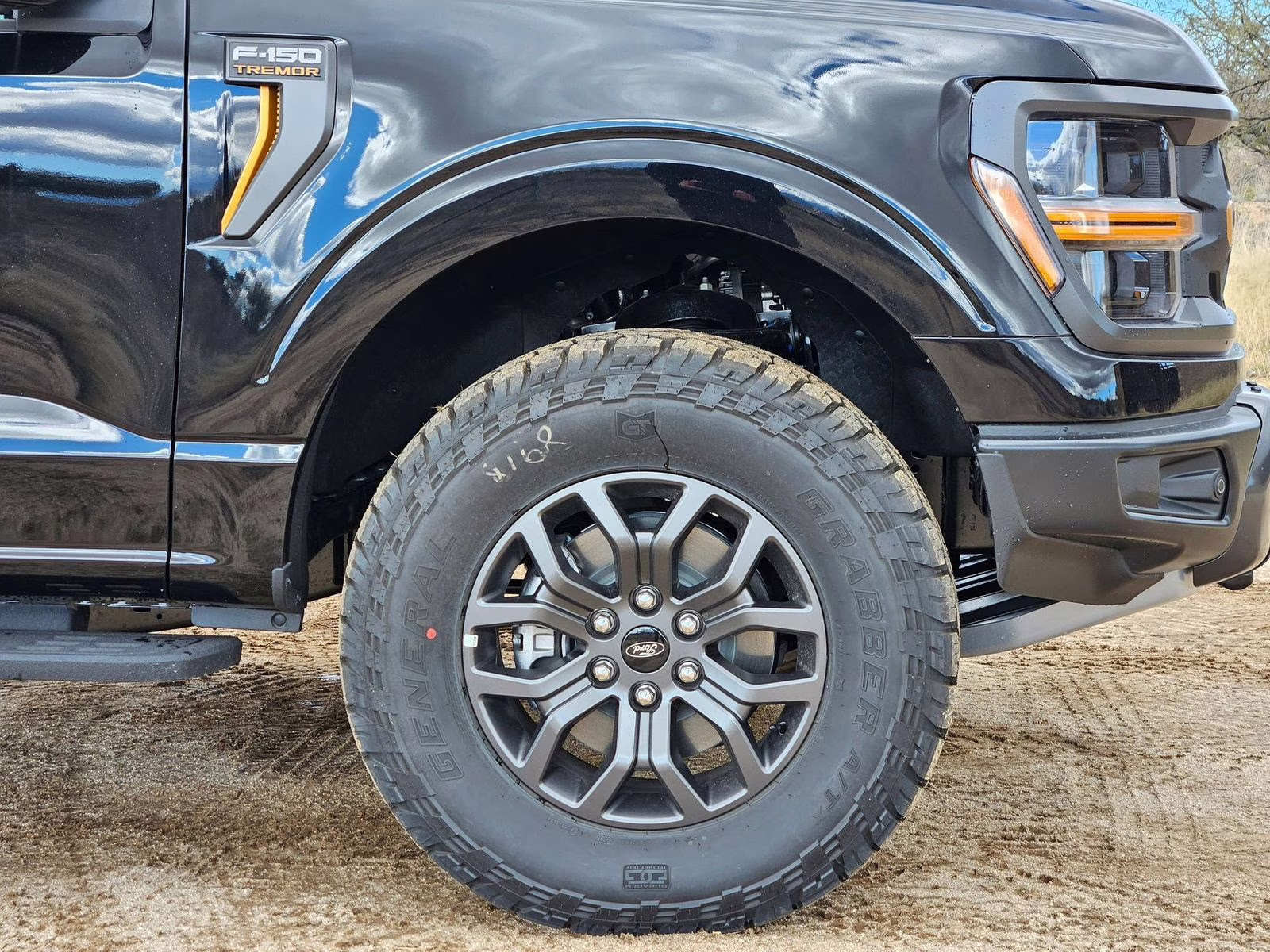 2025 Black Metallic Ford F-150 Tremor 4X4 Truck