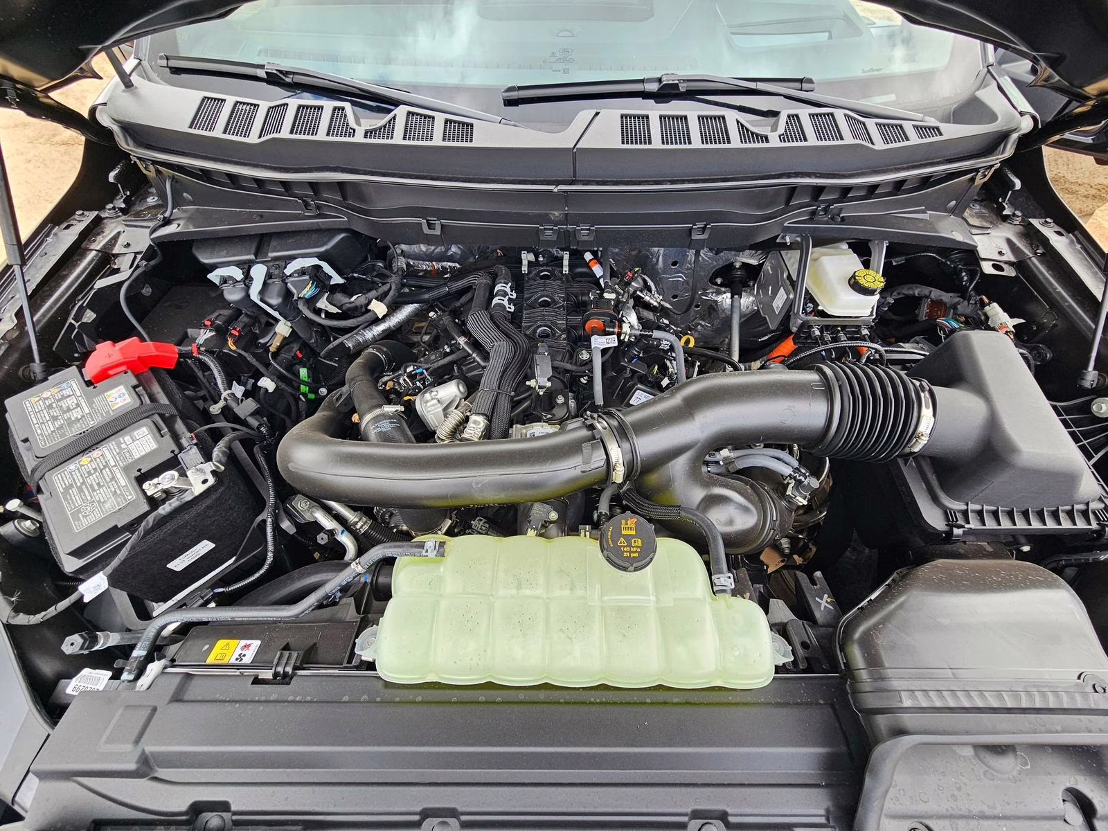 2025 Black Metallic Ford F-150 Tremor 4X4 Truck