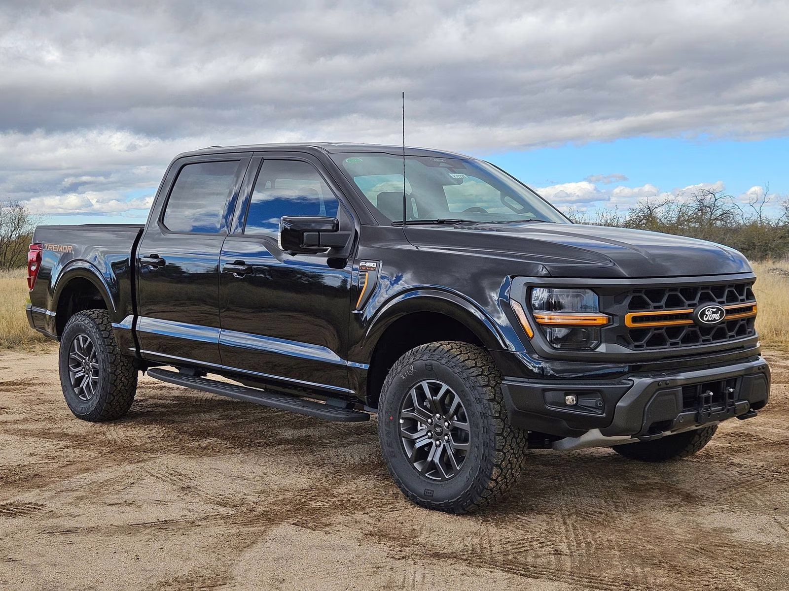 2025 Black Metallic Ford F-150 Tremor 4X4 Truck