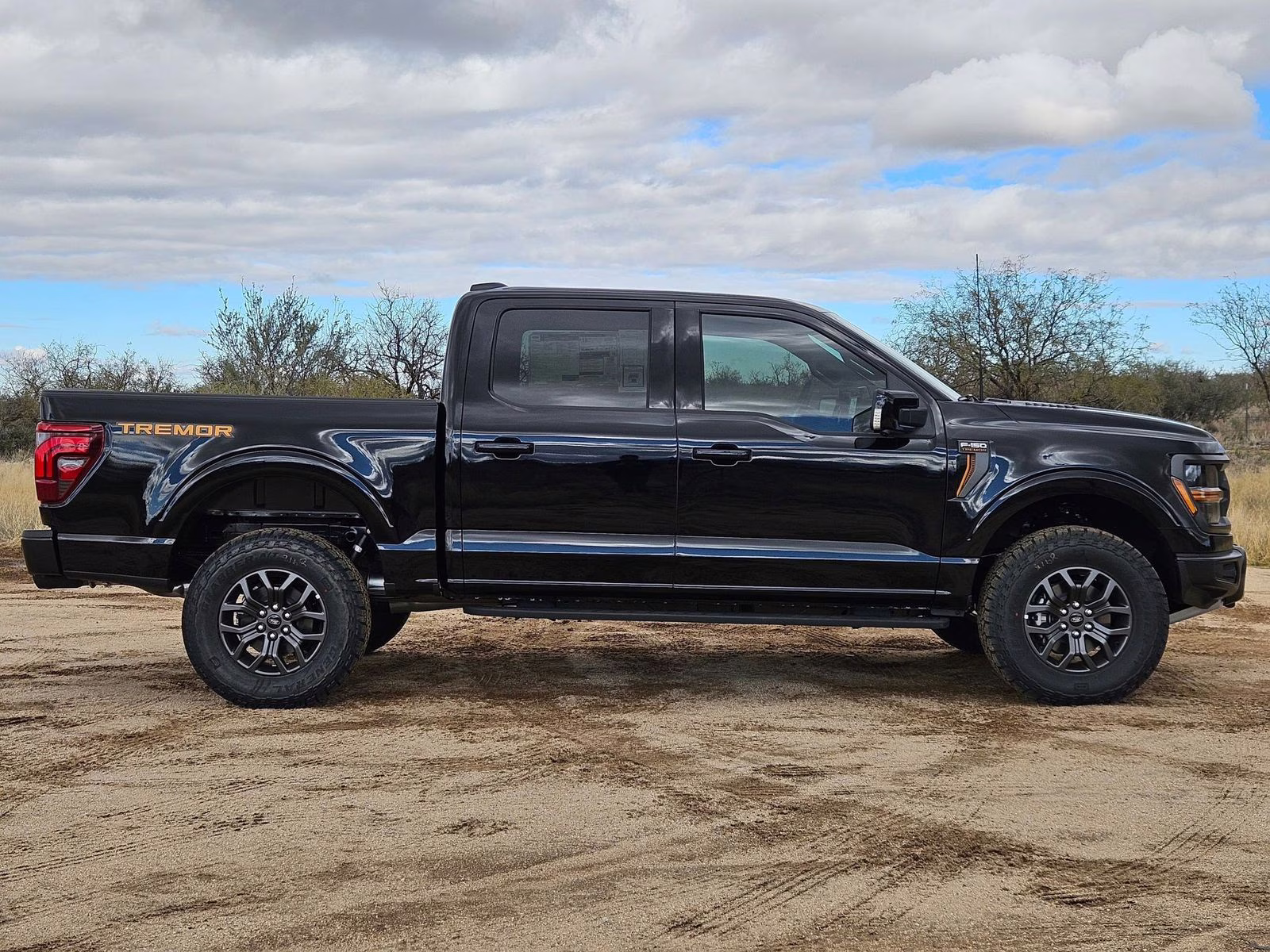 2025 Black Metallic Ford F-150 Tremor 4X4 Truck