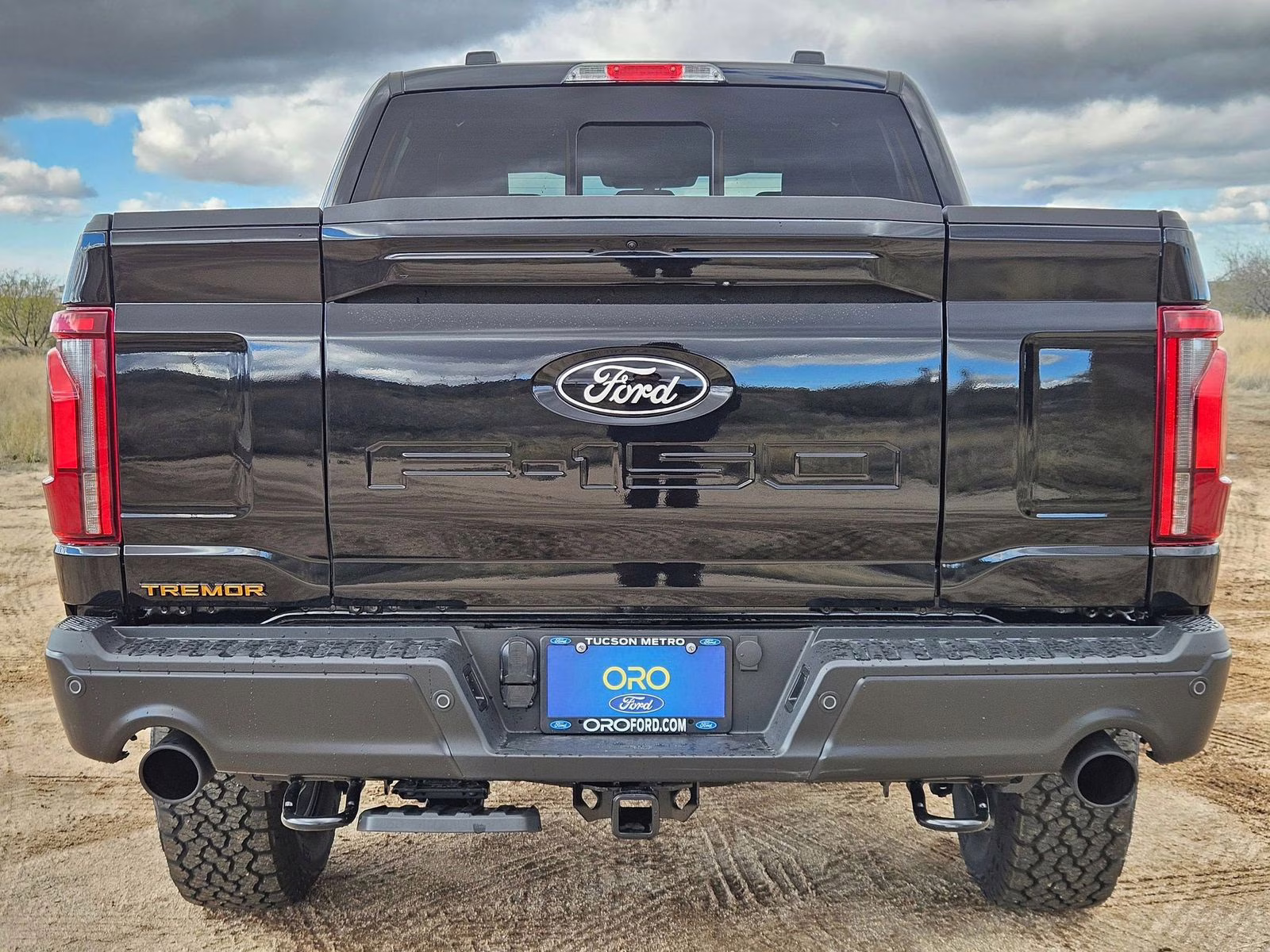 2025 Black Metallic Ford F-150 Tremor 4X4 Truck