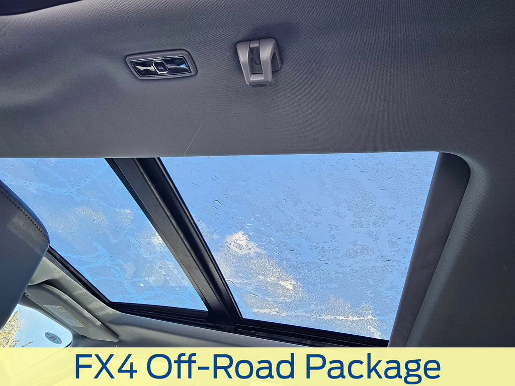 2025 Carbonized Gray Metallic Ford Super Duty F-350 SRW Lariat 4X4 Truck