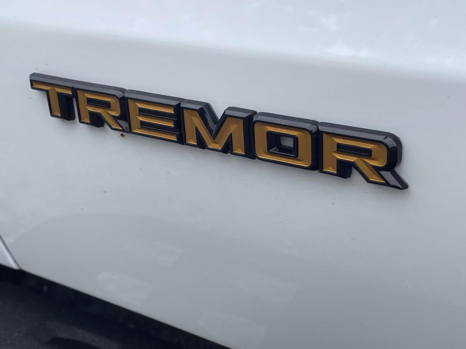 2025 Oxford White Ford Expedition Tremor 4X4 SUV