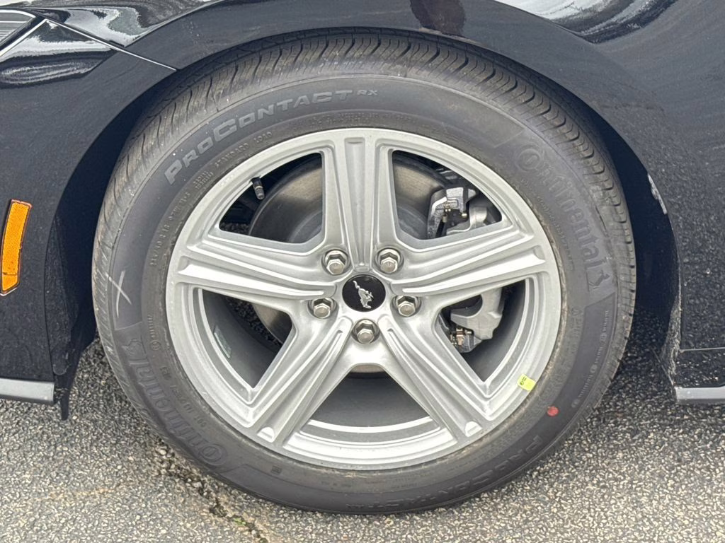 2026 Shadow Black Ford Mustang EcoBoost RWD Coupe