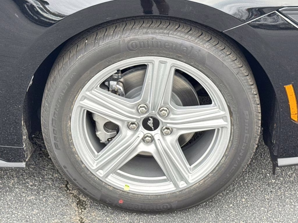 2026 Shadow Black Ford Mustang EcoBoost RWD Coupe