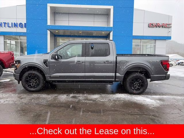 2025 Carbonized Gray Metallic Ford F-150 XLT 4X4 Truck