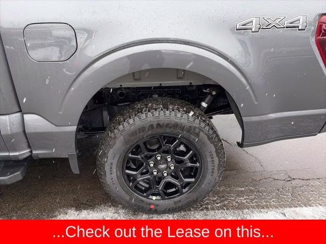 2025 Carbonized Gray Metallic Ford F-150 XLT 4X4 Truck