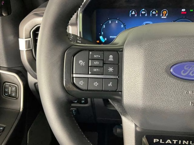 2026 Black Metallic Ford F-150 Platinum 4X4 Truck