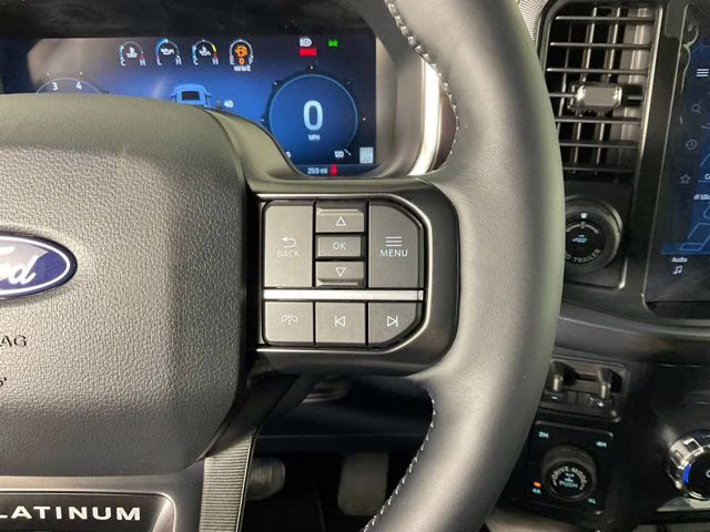 2026 Black Metallic Ford F-150 Platinum 4X4 Truck