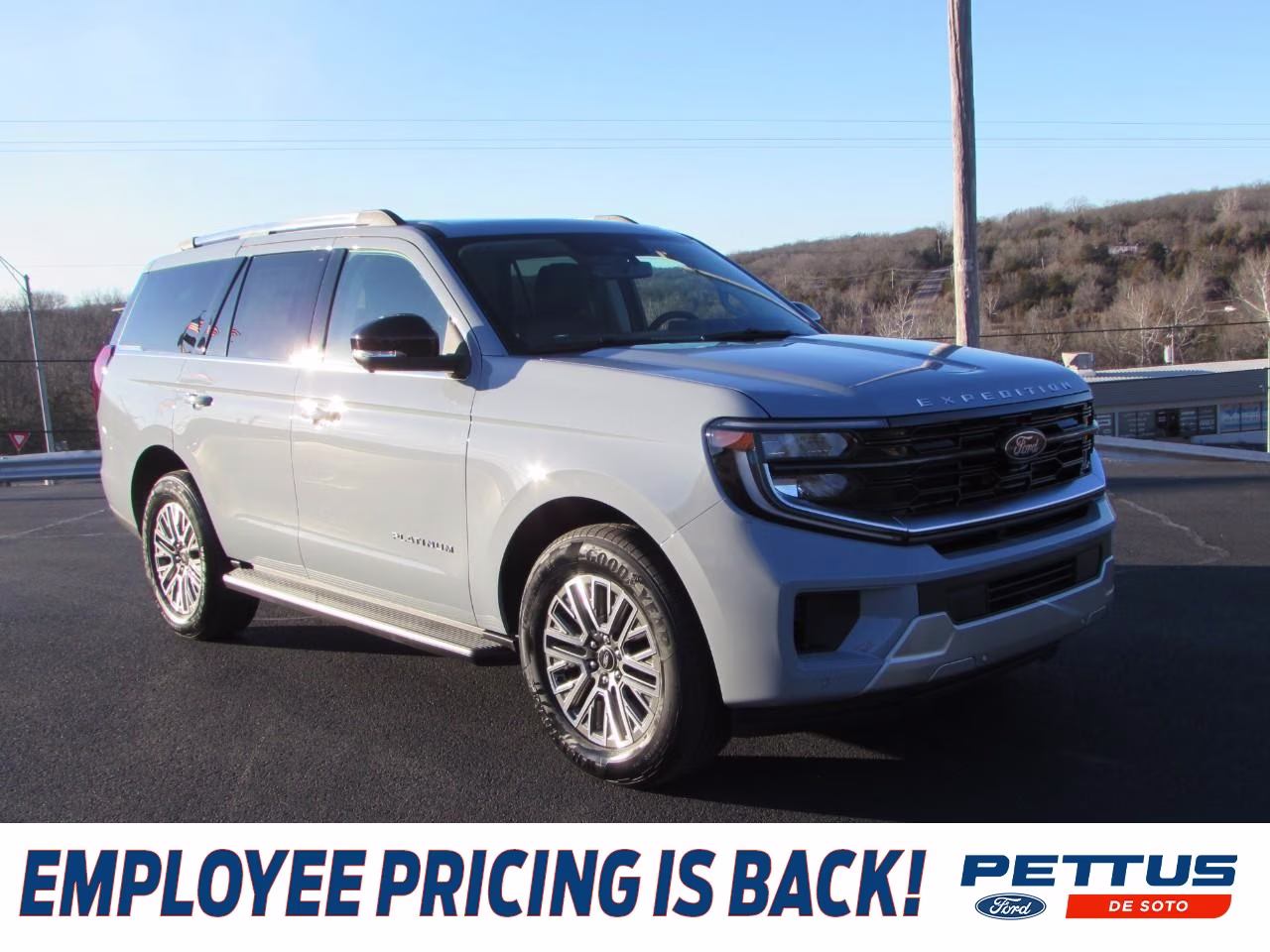 2026 Glacier Gray Metallic Tri-Coat Ford Expedition Platinum 4X4 SUV