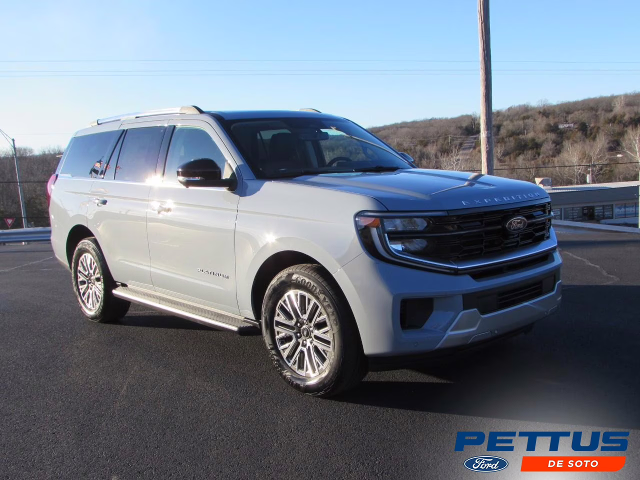 2026 Glacier Gray Metallic Tri-Coat Ford Expedition Platinum 4X4 SUV