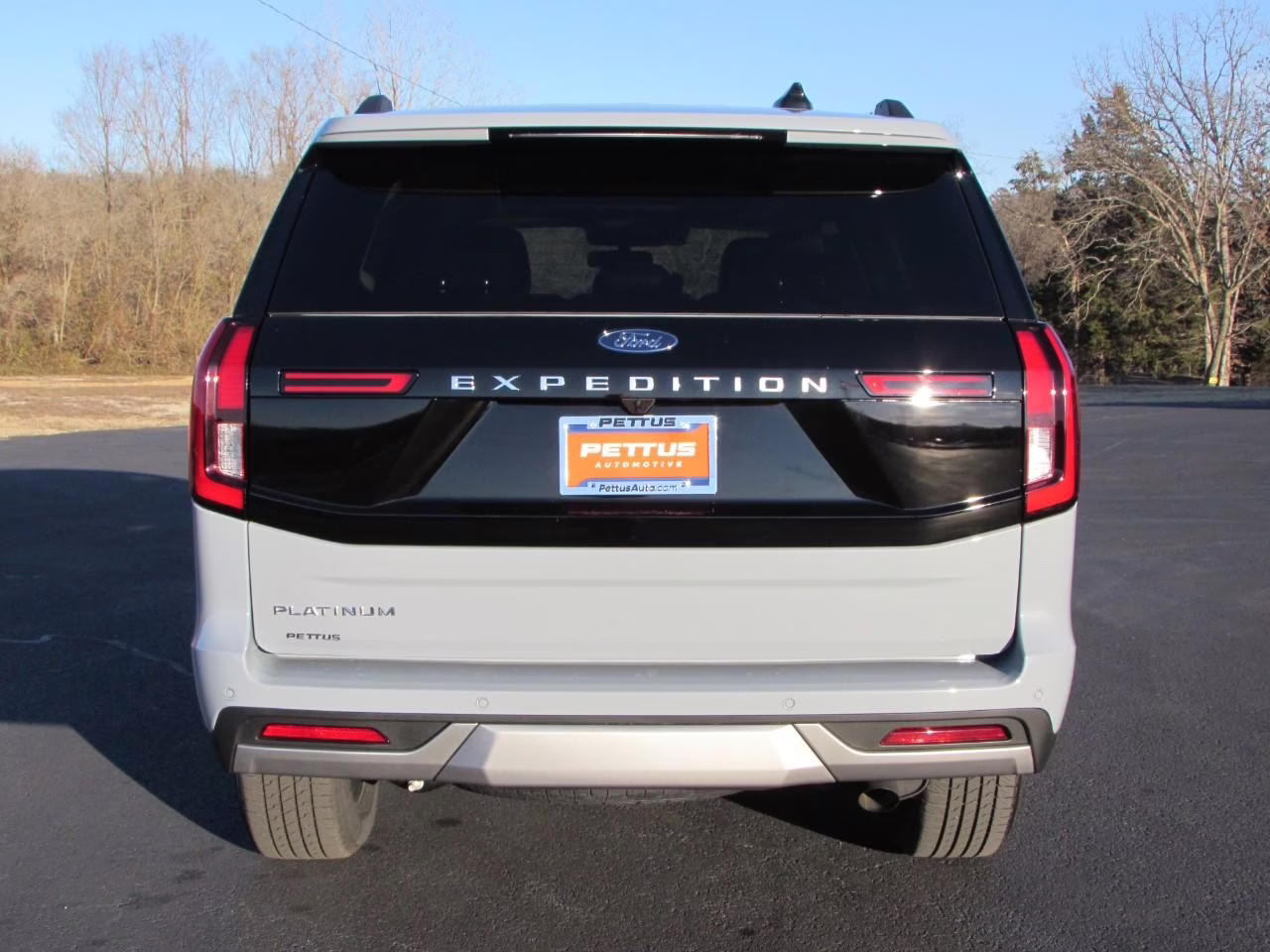 2026 Glacier Gray Metallic Tri-Coat Ford Expedition Platinum 4X4 SUV