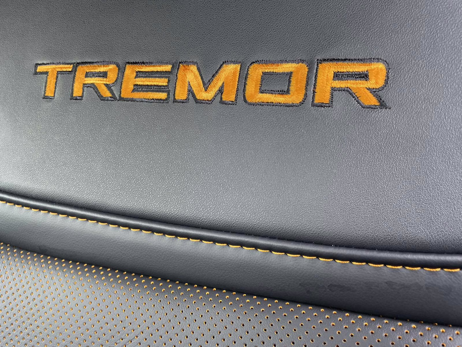 2025 Oxford White Ford F-150 Tremor 4X4 Truck