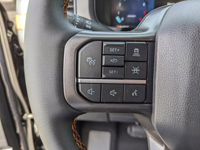 2025 Agate Black Metallic Ford F-150 Tremor 4X4 Truck