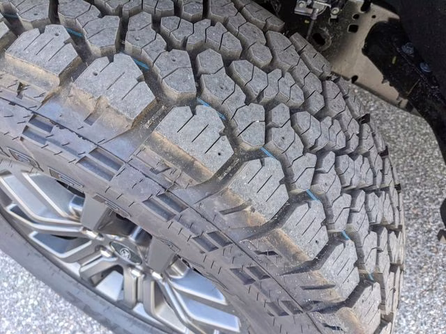 2025 Agate Black Metallic Ford F-150 Tremor 4X4 Truck