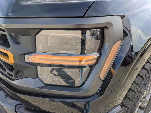 2025 Agate Black Metallic Ford F-150 Tremor 4X4 Truck