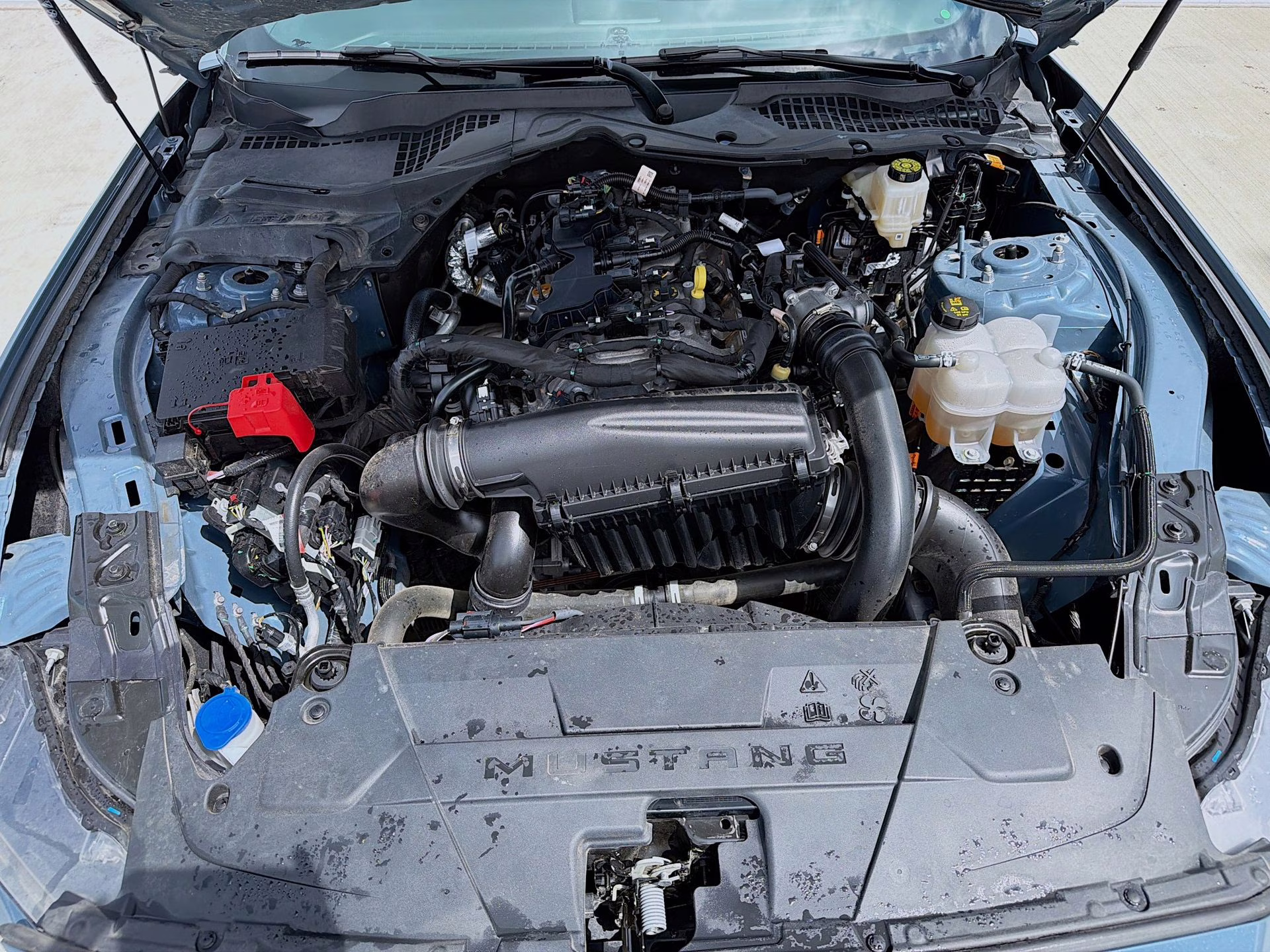 2025 Vapor Blue Metallic Ford Mustang EcoBoost RWD Coupe