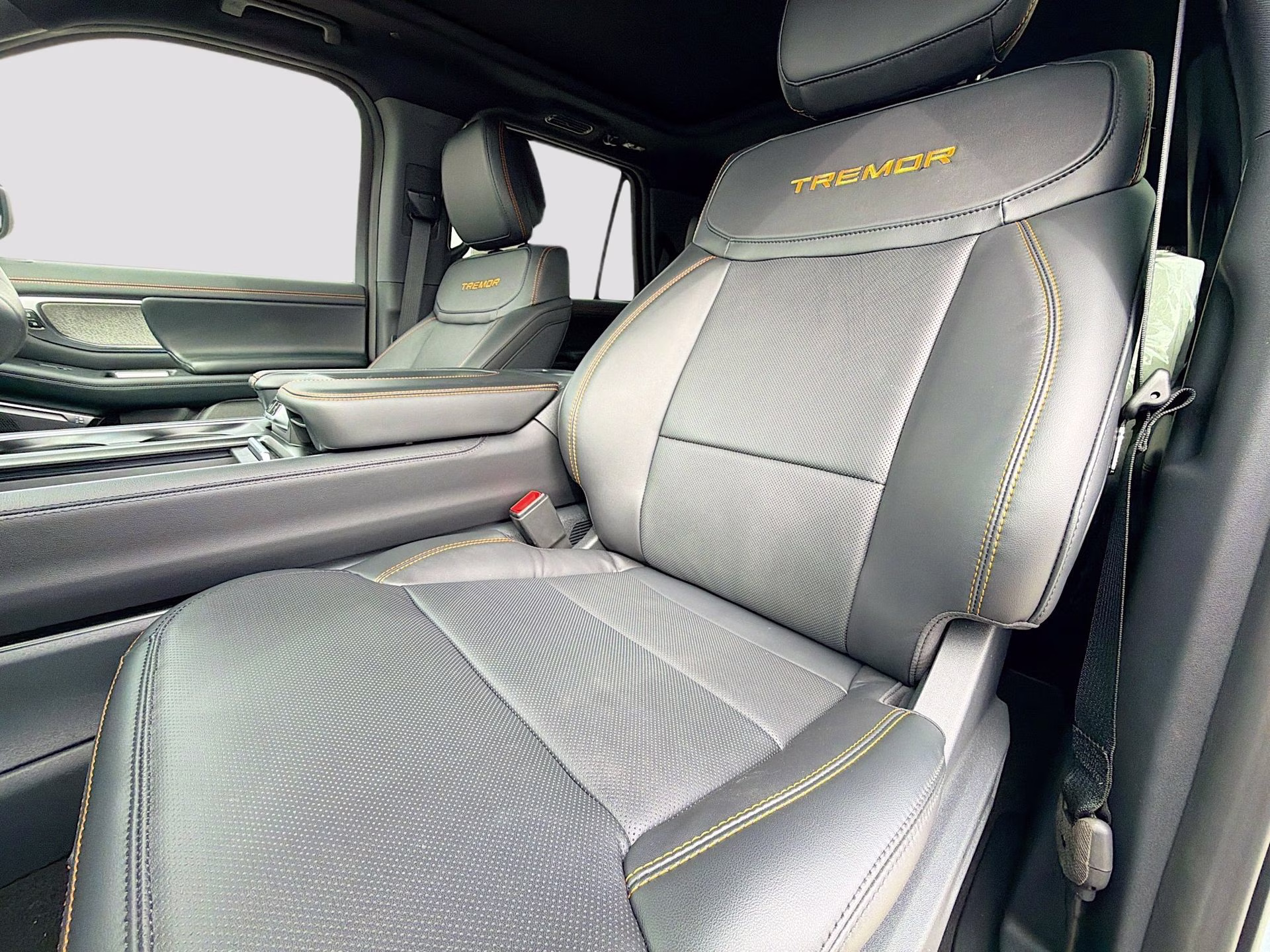 2026 Glacier Gray Metallic Tri-Coat Ford Expedition Tremor 4X4 SUV
