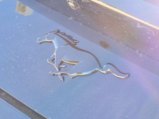 2026 Shadow Black Ford Mustang EcoBoost RWD Coupe