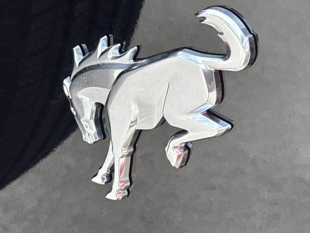 2026 Shadow Black Ford Bronco Base 4X4 SUV