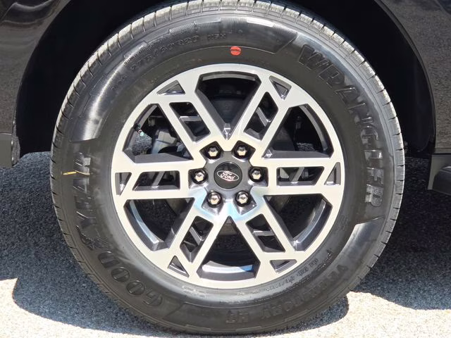 2025 Black Metallic Ford Expedition Active RWD SUV