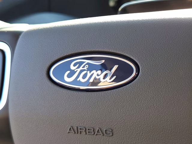 2025 Gray Metallic Ford Expedition Active RWD SUV