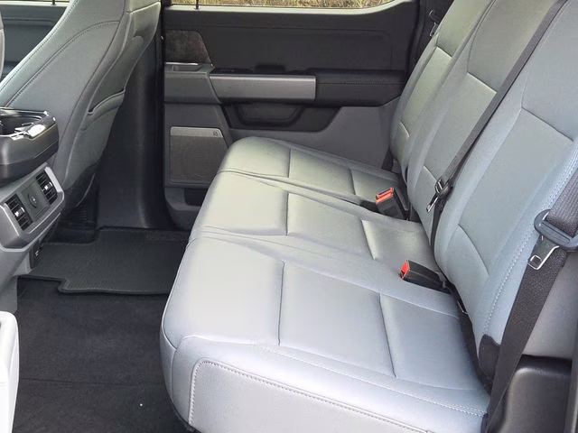 2025 Black Metallic Ford F-150 Lightning Flash AWD Truck