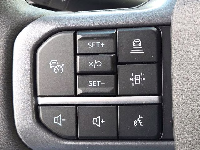 2025 Black Metallic Ford F-150 Lightning Flash AWD Truck