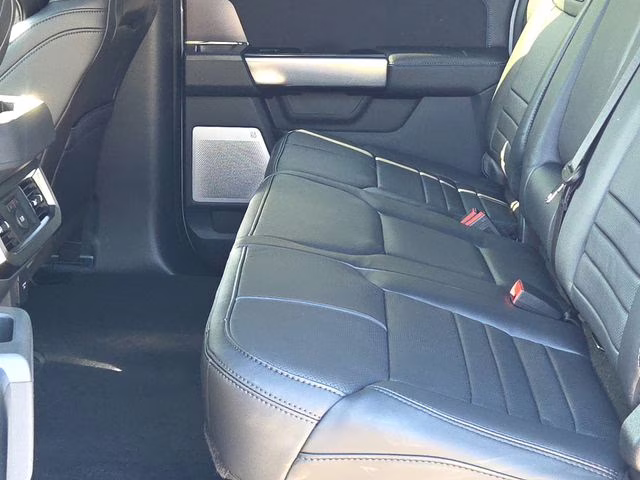 2026 Avalanche Ford Super Duty F-250 SRW Platinum 4X4 Truck