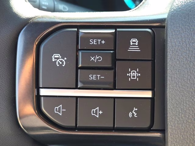 2026 Avalanche Ford Super Duty F-250 SRW Platinum 4X4 Truck