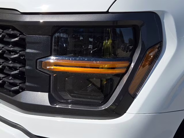 2025 Oxford White Ford F-150 STX 4X4 Truck