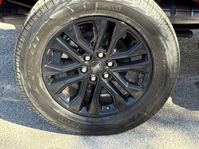 2026 Ruby Red Metallic Ford F-150 XLT 4X4 Truck