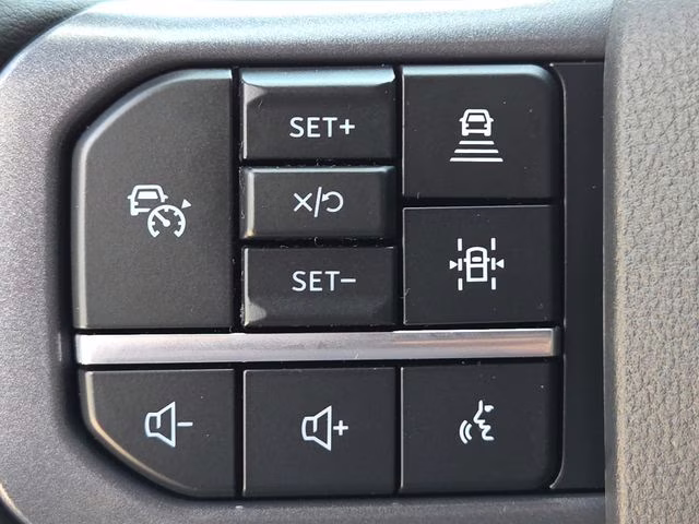 2025 Black Metallic Ford F-150 Lariat 4X4 Truck