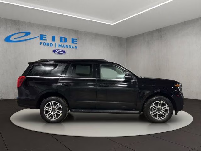 2026 Agate Black Metallic Ford Expedition Active 4X4 SUV