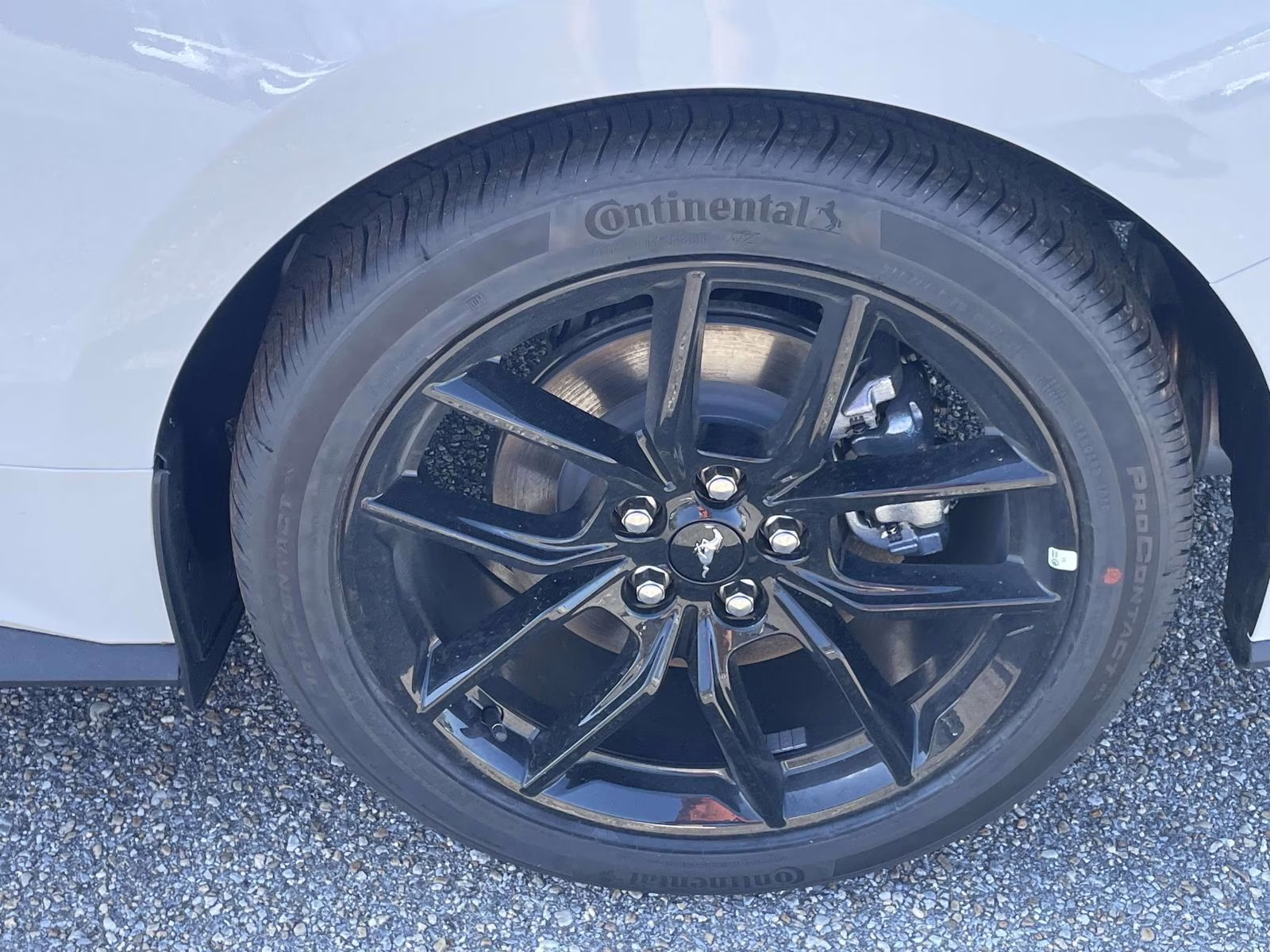 2026 Oxford White Ford Mustang EcoBoost RWD Coupe