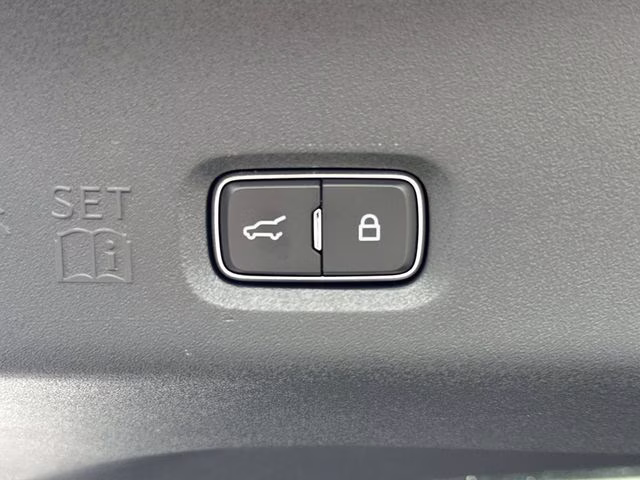 2026 Black Metallic Ford Expedition Active RWD SUV