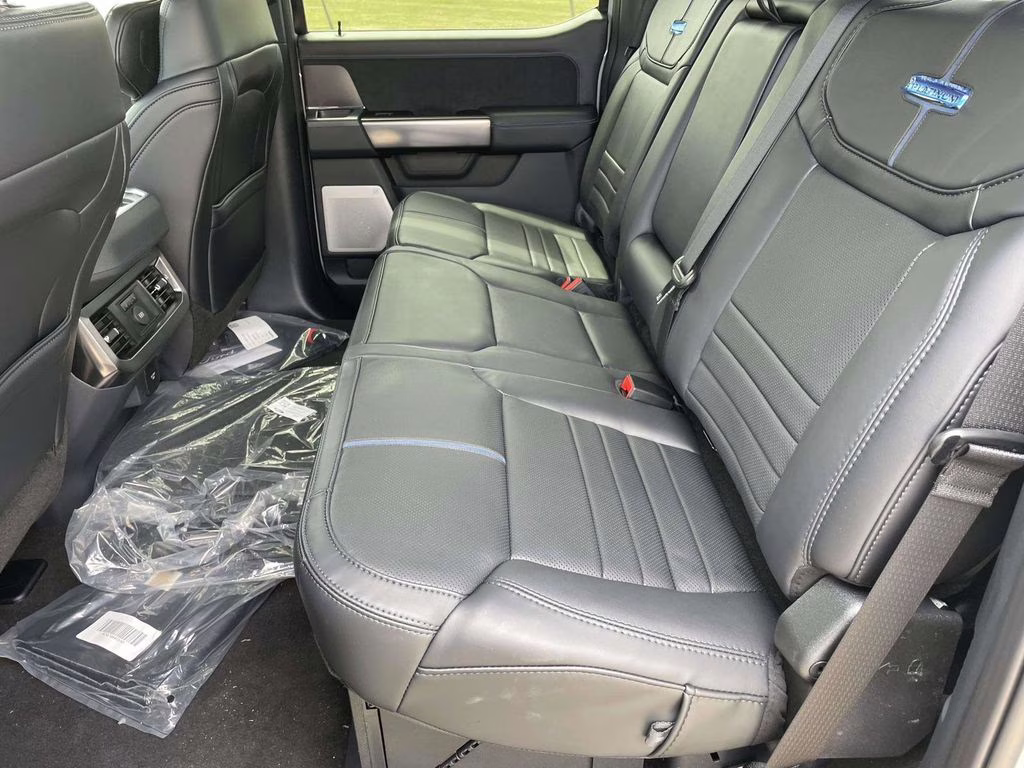 2026 Avalanche Ford Super Duty F-250 SRW Platinum 4X4 Truck