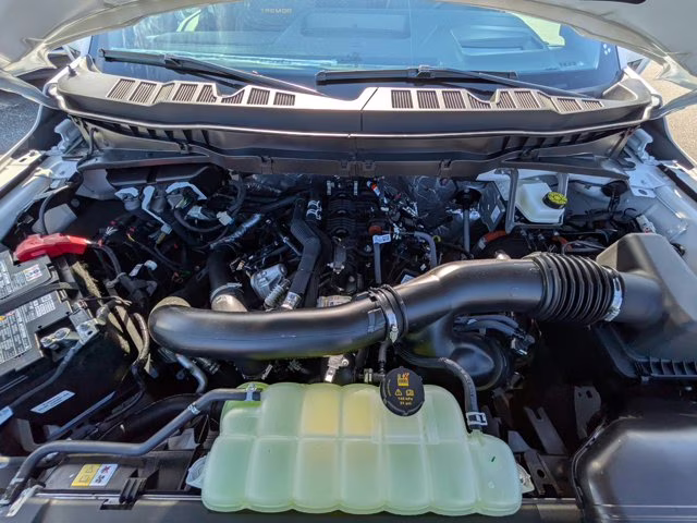 2025 Oxford White Ford F-150 Tremor 4X4 Truck