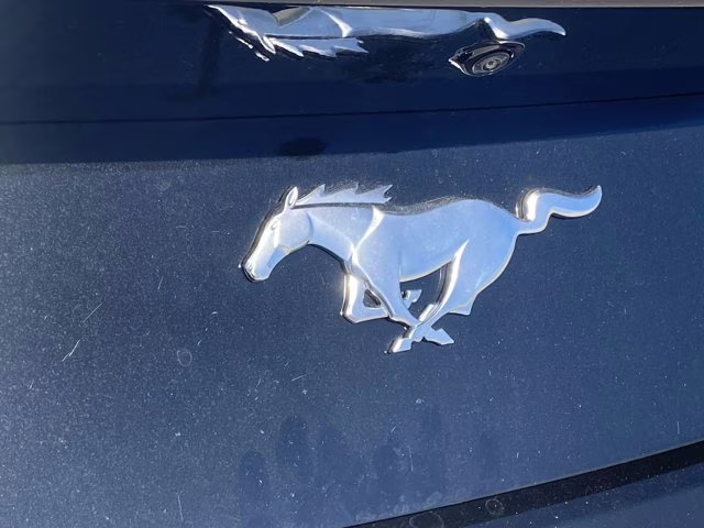 2026 Shadow Black Ford Mustang EcoBoost RWD Coupe