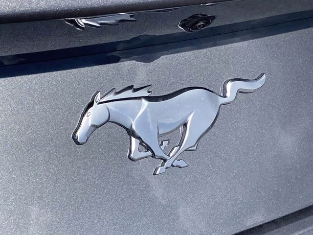 2026 Carbonized Gray Metallic Ford Mustang EcoBoost RWD Coupe