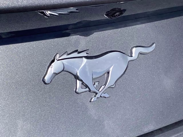 2026 Carbonized Gray Metallic Ford Mustang EcoBoost RWD Coupe