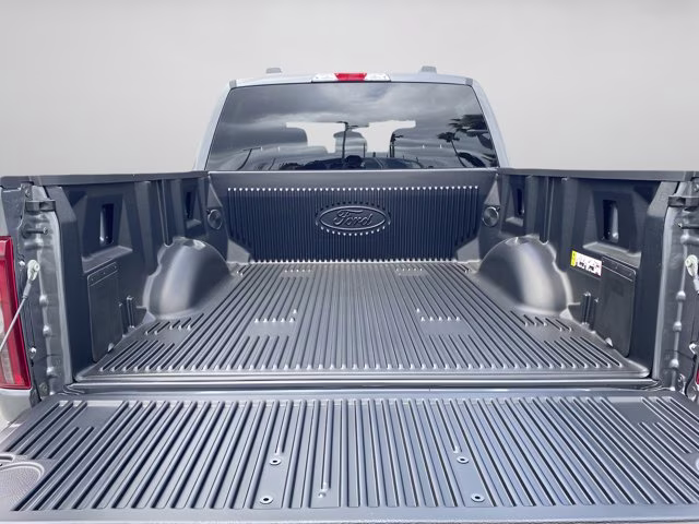 2026 Carbonized Gray Metallic Ford F-150 STX RWD Truck