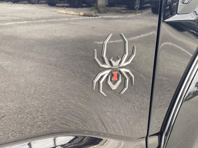 2026 Black Metallic Ford F-150 XLT 4X4 Truck