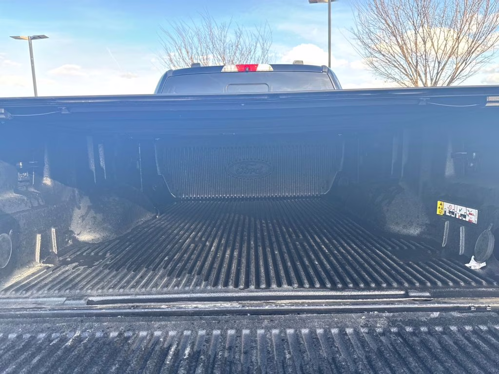 2022 Black Ford Super Duty F-250 SRW Platinum 4X4 Truck