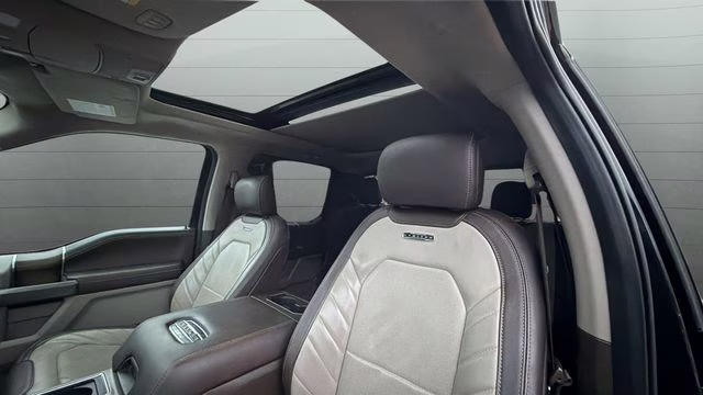 2020 Black Metallic Ford F-150 Limited 4X4 Truck