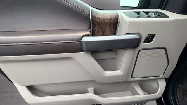 2020 Black Metallic Ford F-150 Limited 4X4 Truck