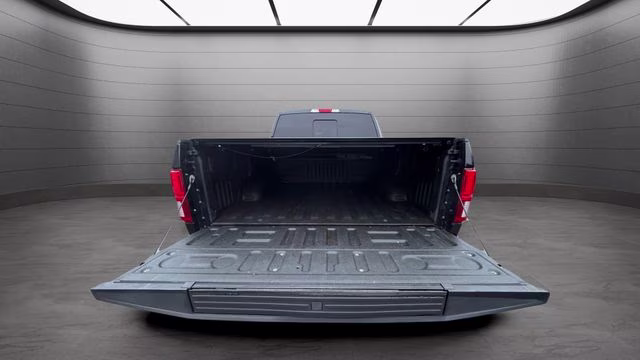 2020 Black Metallic Ford F-150 Limited 4X4 Truck