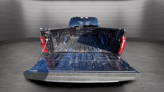 2025 Black Metallic Ford F-150 STX 4X4 Truck