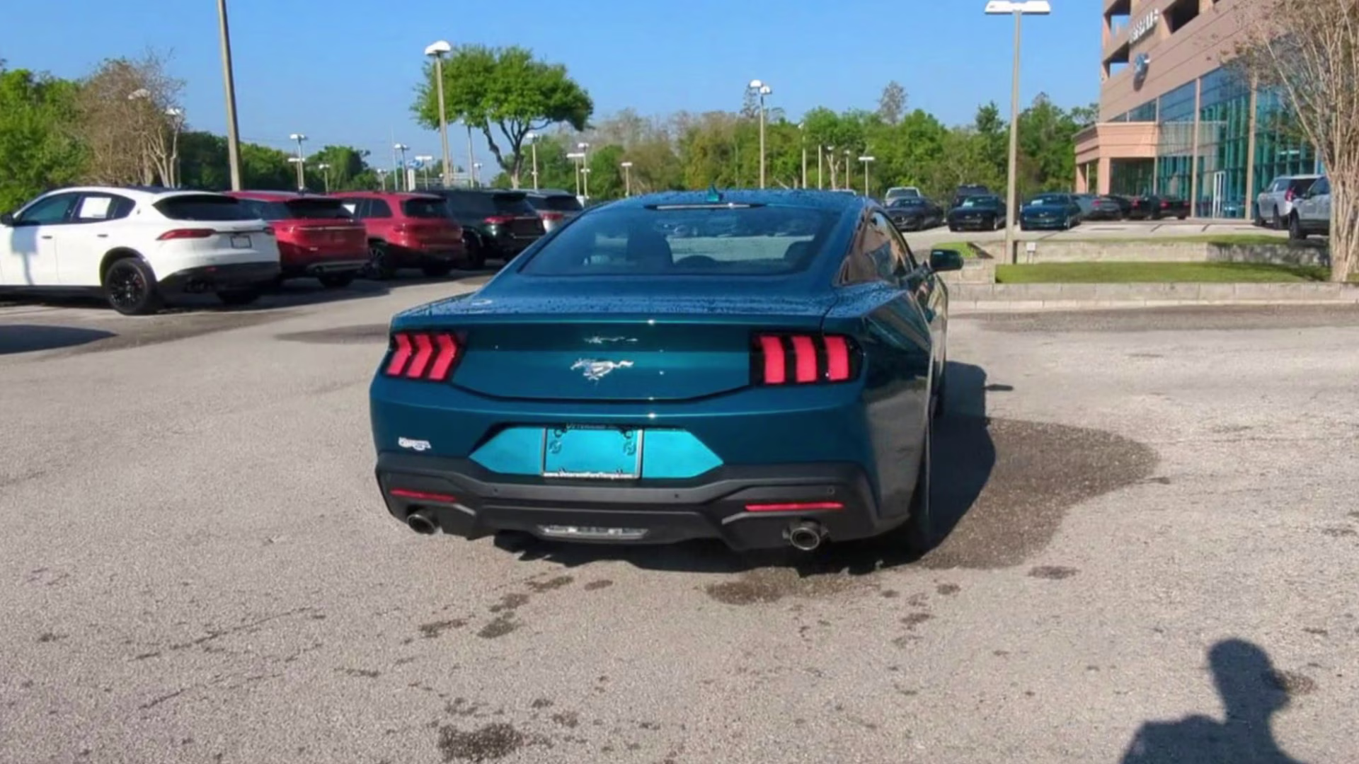 2026 Adriatic Blue Metallic Ford Mustang EcoBoost RWD Coupe